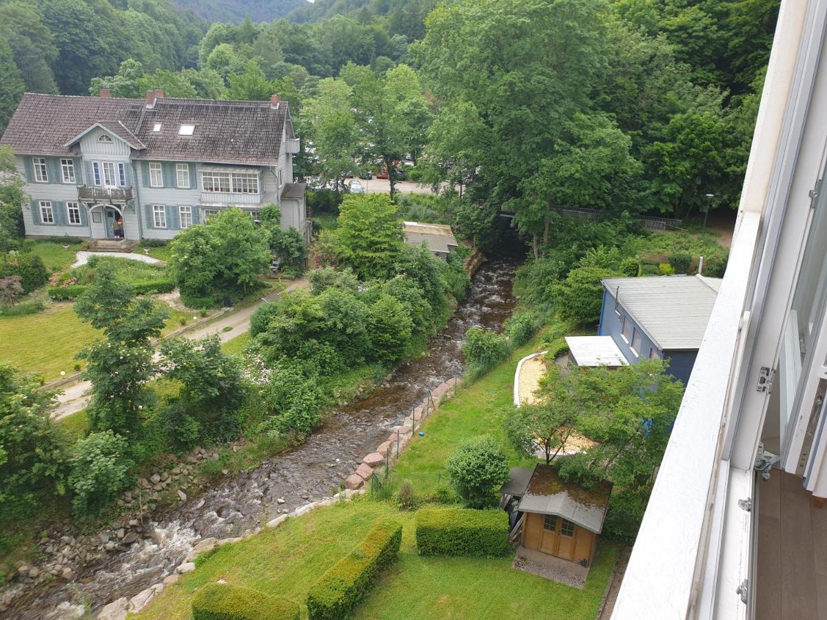 Apartz - Bad Harzburg - Apartment Mit Sauna In Idealer Lage Mit Bergblick מראה חיצוני תמונה