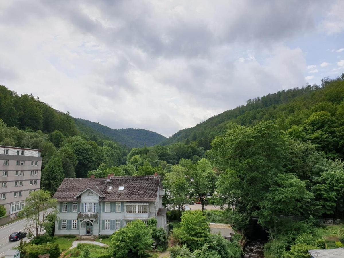 Apartz - Bad Harzburg - Apartment Mit Sauna In Idealer Lage Mit Bergblick מראה חיצוני תמונה